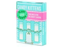 Candy Kittens Vegansk Godiskalender