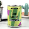 Cool Cactus Konservväxt