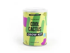 Cool Cactus Konservväxt