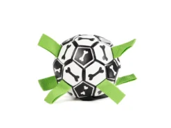 Hundfotboll