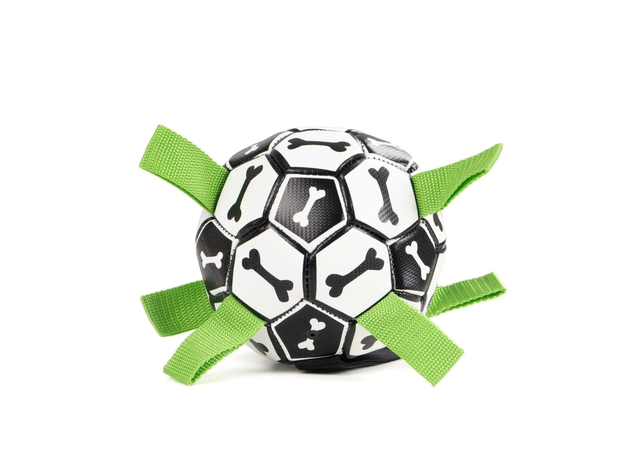 Hundfotboll