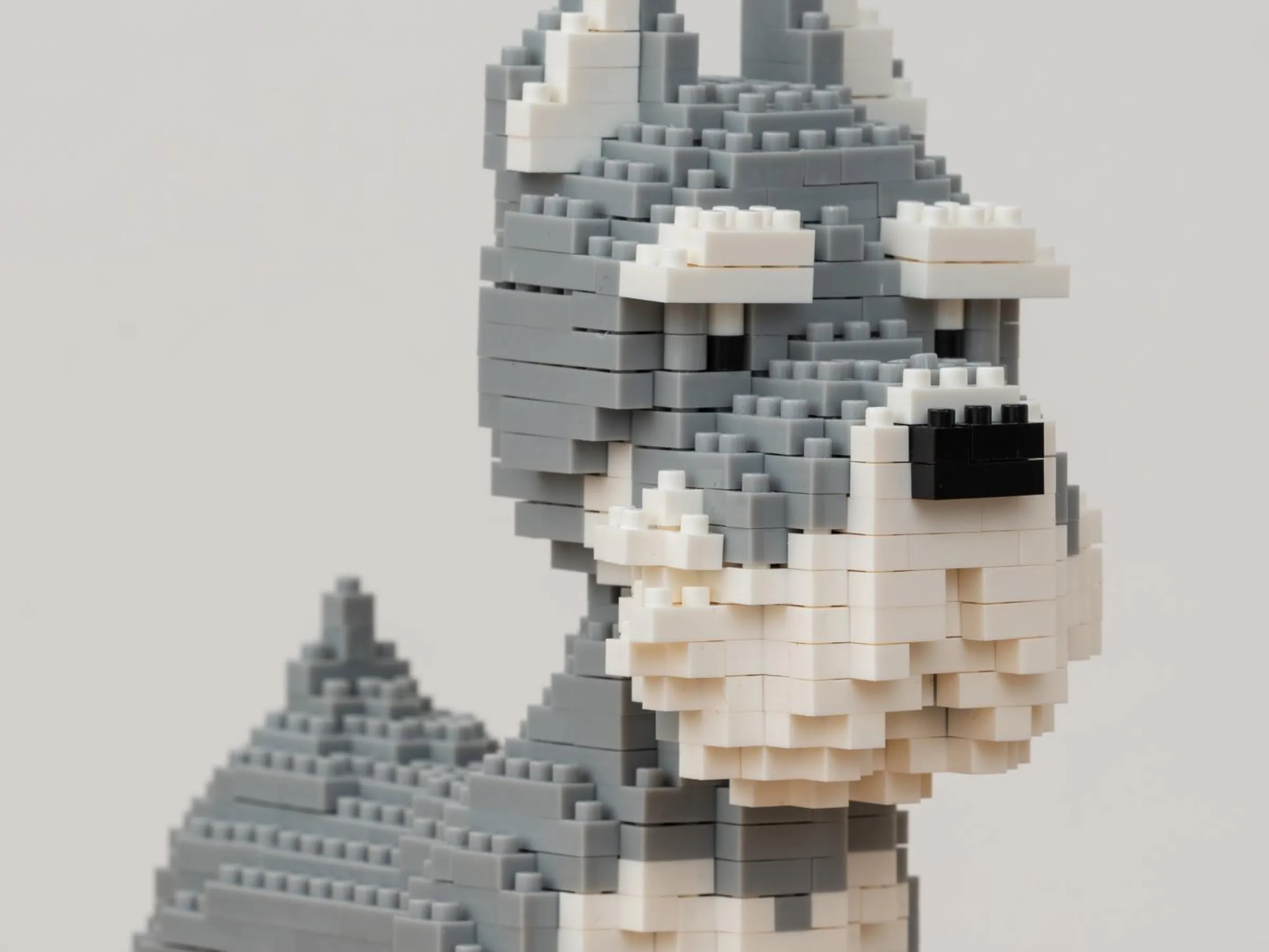 Hundvalp Mini 3D-byggsats