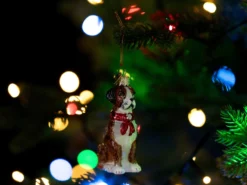 Julgranspynt Boxer