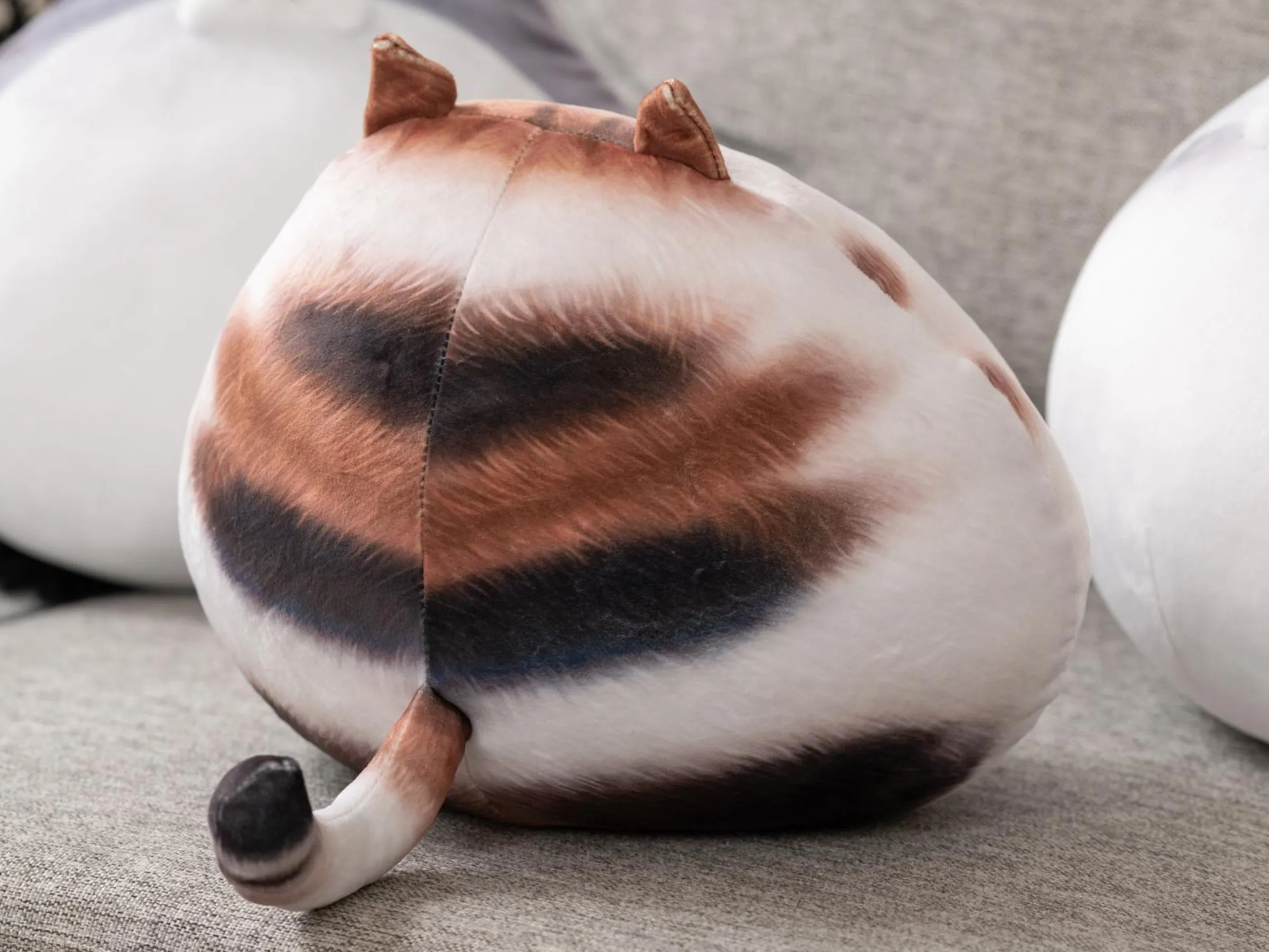 Knubbig Katt-kudde