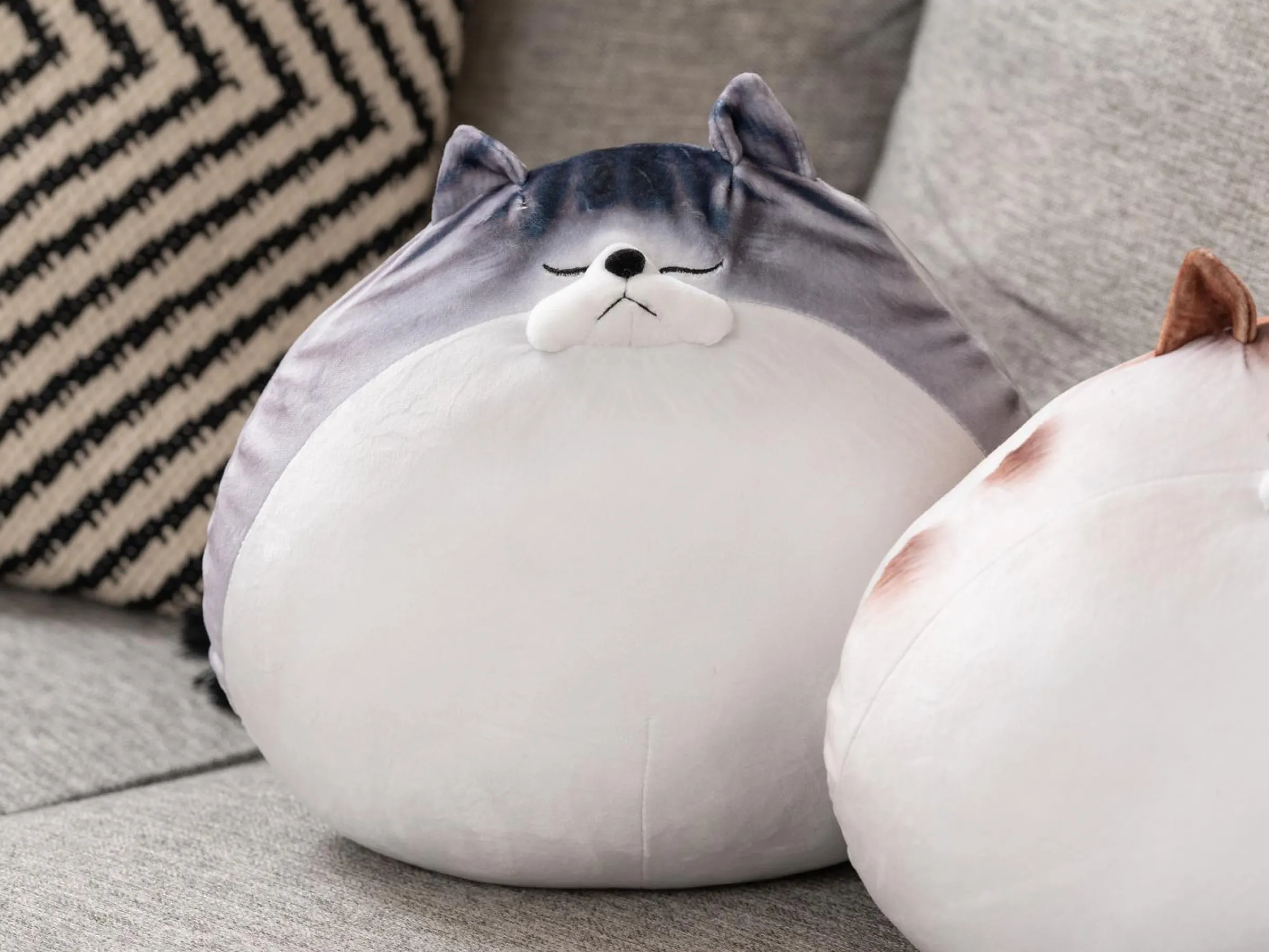 Knubbig Katt-kudde