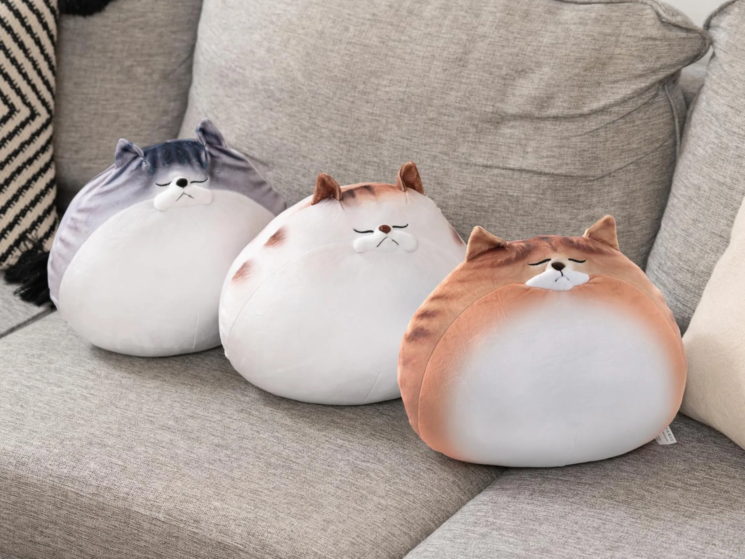 Knubbig Katt-kudde