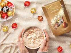 Lindt Lindor Cornet 500 gram - Blandad Choklad