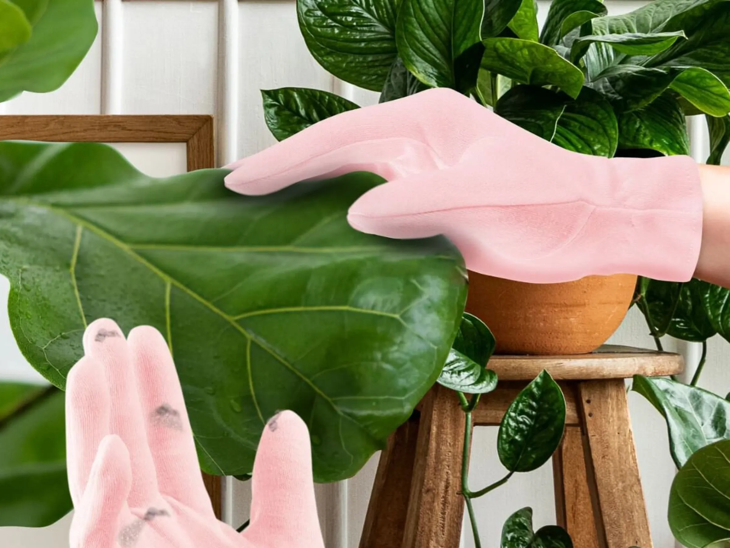 Mini Houseplant Rengöringshandskar för Krukväxter