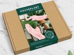 Mini Houseplant Rengöringshandskar för Krukväxter