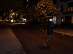 Reflexmössa