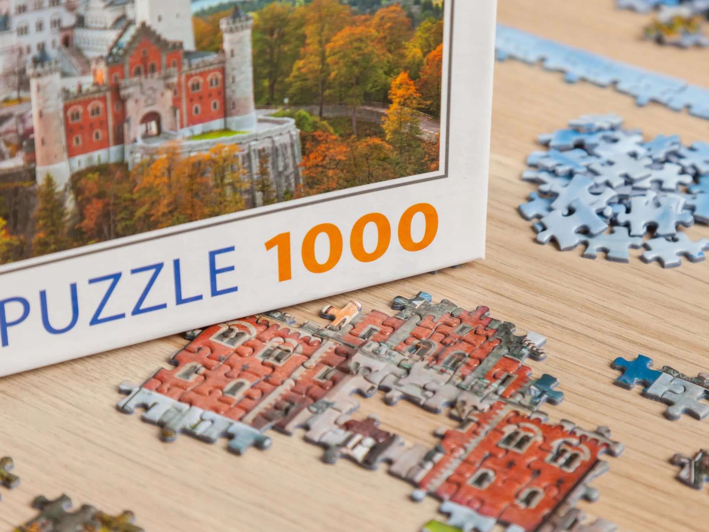 Världens Minsta 1000-bitars Pussel